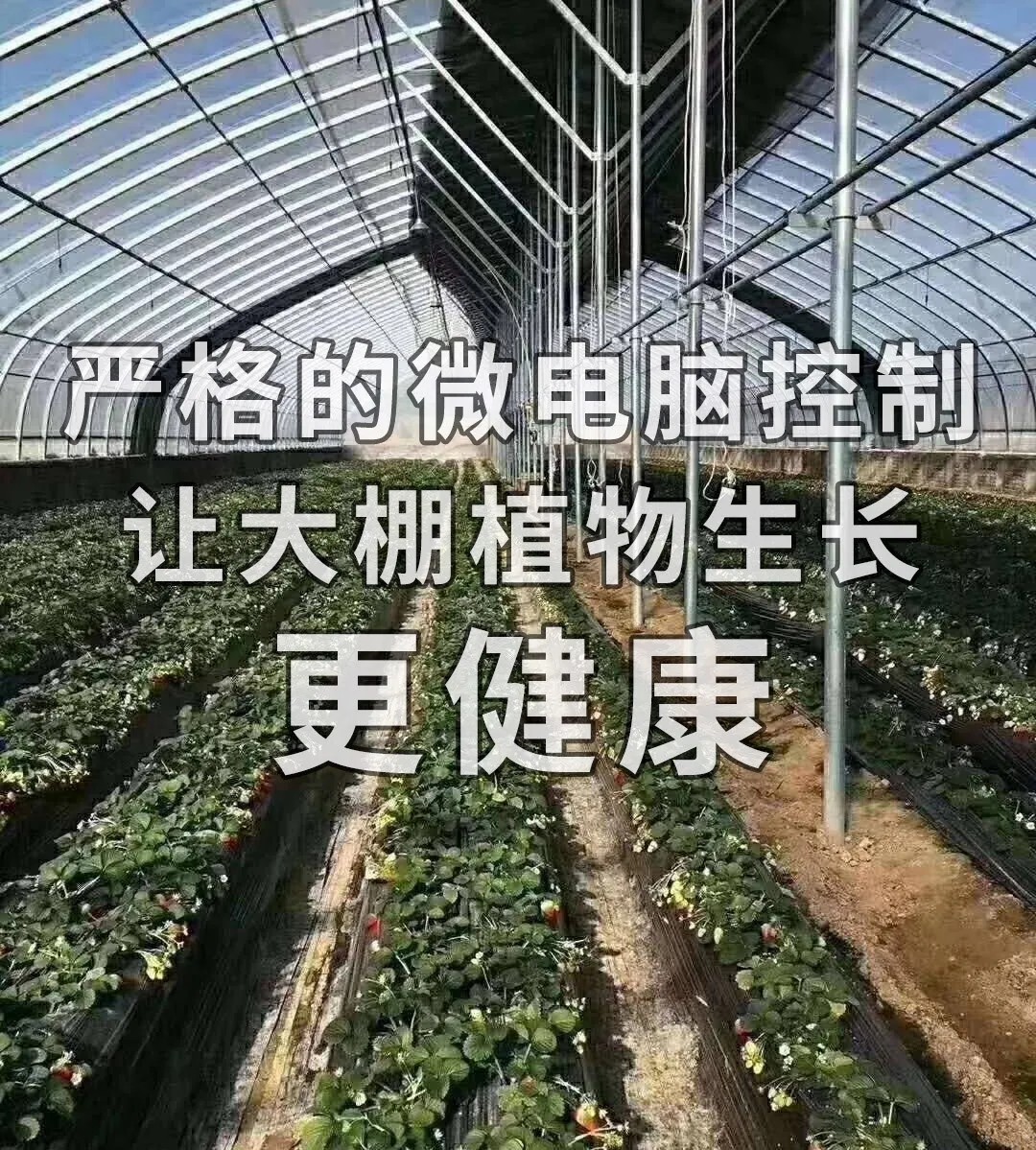 BBINӯ(й)޹˾
